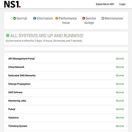NS1 screenshot