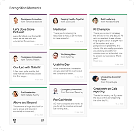 Recognition screenshot