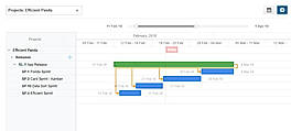 Roadmap