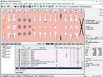 Clinical Charting screenshot