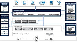 Akana API Management Architecture Screenshot
