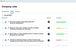 Company Wide OKR Template