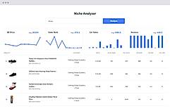 Find Profitable Niches