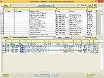 AutoFluent Demo - SalesEntry.jpg