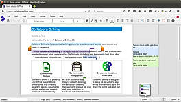 Online Writer 2