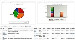 Sales and Opportunity Management screenshot