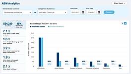 ABM Analytics