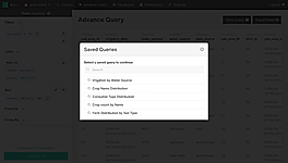 Saved Query screenshot