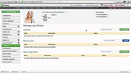 Manual Entries of Labs