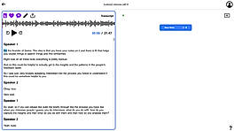 Interview transcription