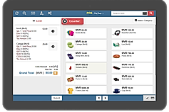 IDZlink Cloud POS screenshot