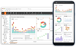 InetSoft Style Scope screenshot