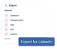 Use our insights to retarget leads on LinkedIn