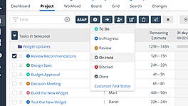 Task Management screenshot