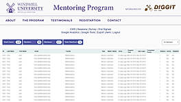 Mentor program