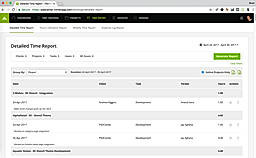 Detailed Time Report