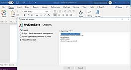 MyDocSafe Options