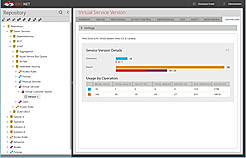Virtual Service Vision