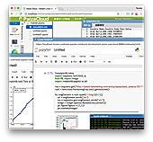 PaizaCloud IDE screenshot