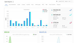 Sales reports stripe numbers