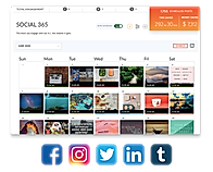 Social 365