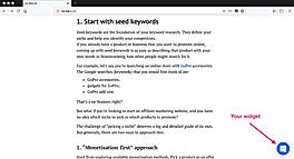 Live chat widgets screenshot
