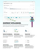 Interact with Skylights endpoint data