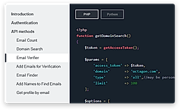 Interactive API verifier
