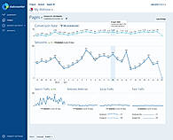 Page Analysis Conversion