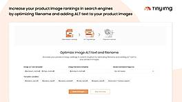 Optimize image ALT text and Filename 