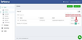 Client payment summary action