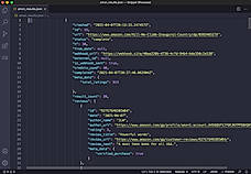 JSON format screenshot