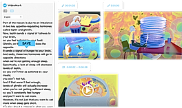 Save subtitles screenshot