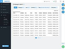Detailed campaign report