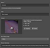 Webflow screenshot