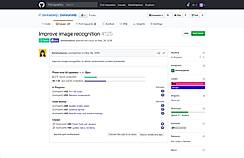 Github Issue