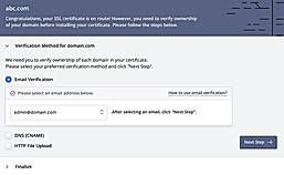 Domain Verification