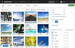 Landing Page Content Tagger Preview