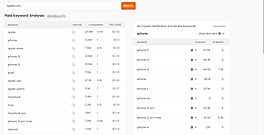 Paid Keyword Analysis