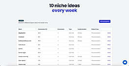 niche ideas