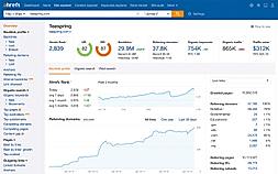 Organic Search Report