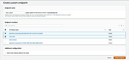 Aurora Create Custom Endpoint