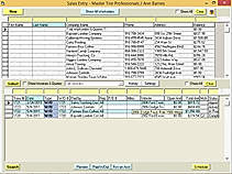 AutoFluent Demo - SalesEntry.jpg