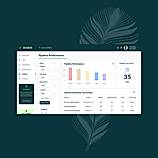 Insights and Analytics