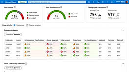 Data Estate Insights