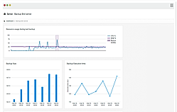 Backup Bird : screenshot