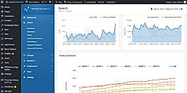 BAVOKO SEO Tools screenshot
