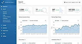 BAVOKO SEO Tools screenshot