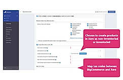 BigCommerce_Screenshot 1