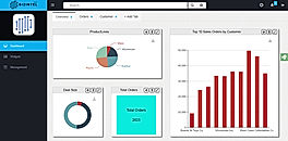 Bizintel360 screenshot